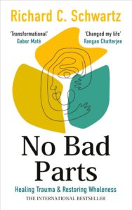 Cover of No Bad Parts book