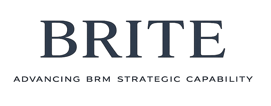 BRITE – Business Relationship Intelligence & Transformation Excellence